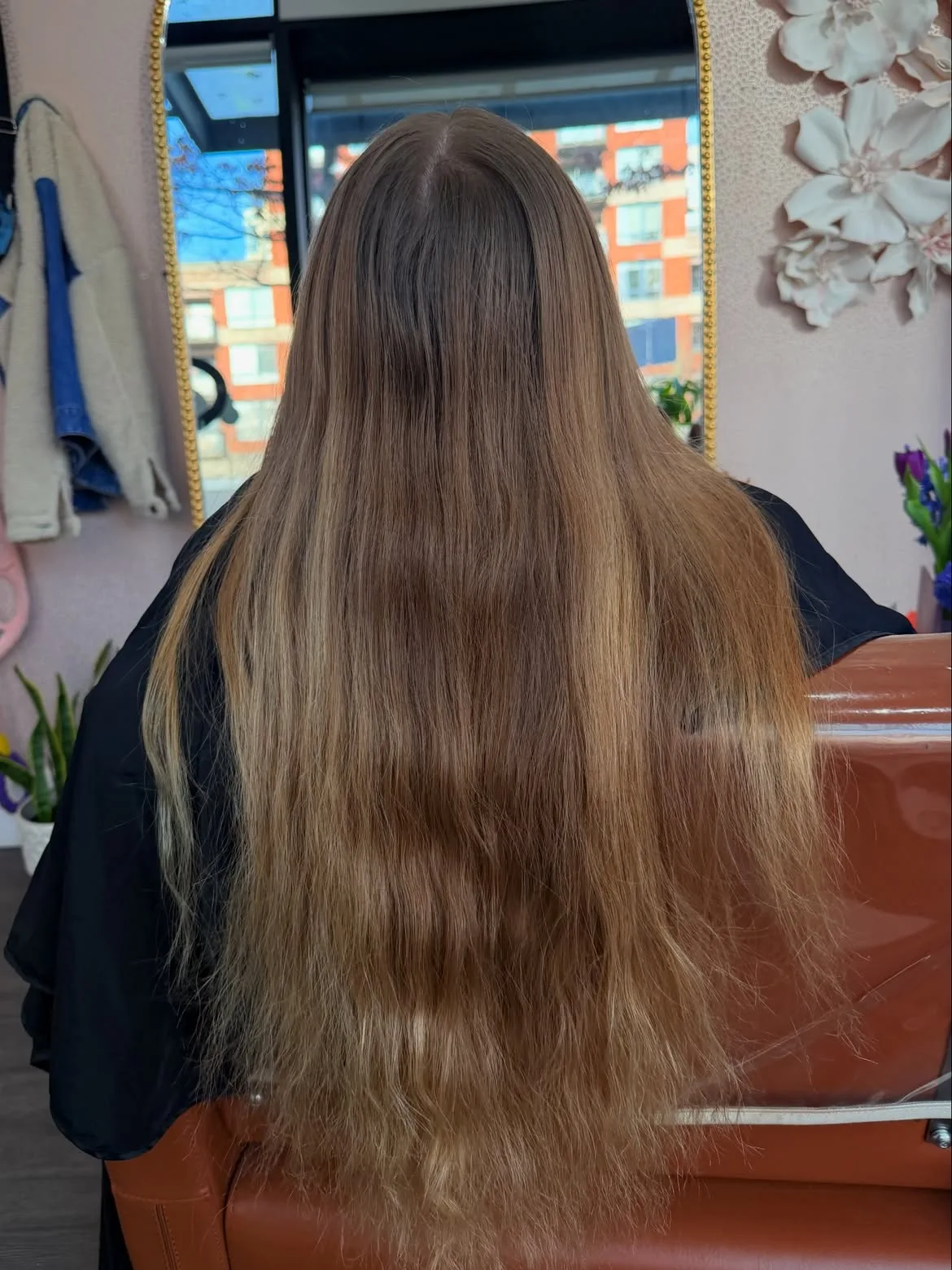 Highlights — before